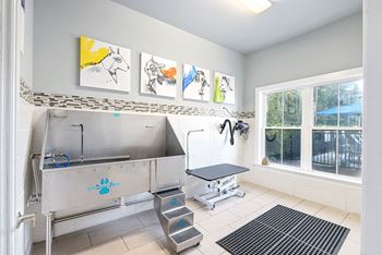 Pet care center